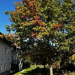 Bergland 4-1 Apartment *