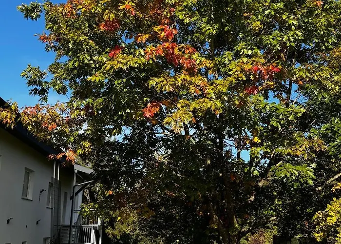 Bergland 4-1 Апартаменты *